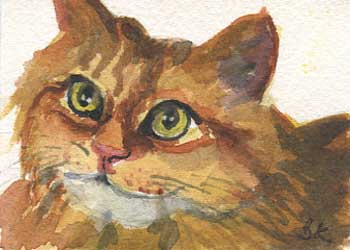 "Sara's Cat" by Barbara Kettner, Viola WI  - Watercolor